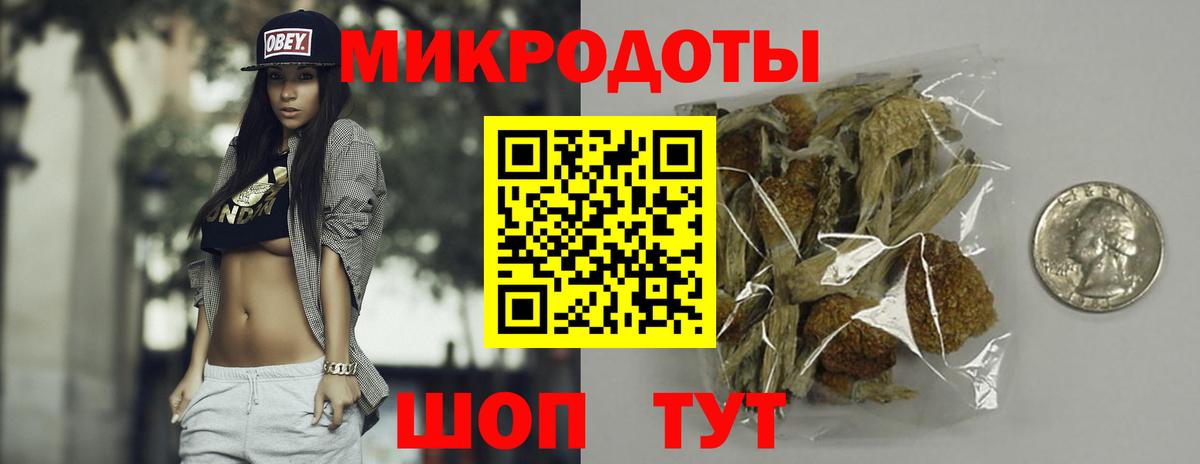 Псилоцибиновые грибы ЛСД  продажа наркотиков  Вход с VPN  Сланцы  Псилоцибиновые грибы Psilocybine cubensis 